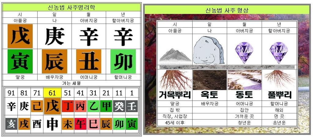 우리나라 사주팔자이야기 - 이야기 신농법 - 신농법 사주명리학 우리나라 사주팔자이야기